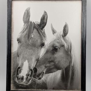Open Road Brands Black and White Horse Duo Frame